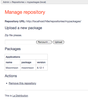 screenshot of the repository panel